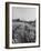 Young Couple Walking by a Grain Field-Ed Clark-Framed Photographic Print