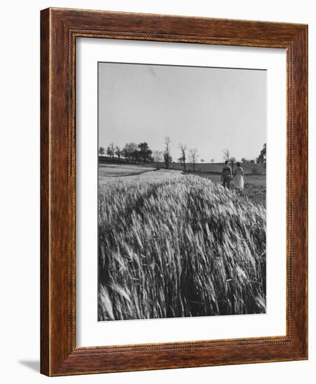 Young Couple Walking by a Grain Field-Ed Clark-Framed Photographic Print