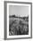 Young Couple Walking by a Grain Field-Ed Clark-Framed Photographic Print