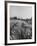 Young Couple Walking by a Grain Field-Ed Clark-Framed Photographic Print