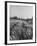 Young Couple Walking by a Grain Field-Ed Clark-Framed Photographic Print