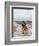 Young Couple Walking on the Beach-Bill Bachmann-Framed Photographic Print