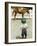 Young Cowboy Looking at Horse-William P. Gottlieb-Framed Photographic Print