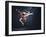 Young Cute Woman In Gymnast Suit Show Athletic Skill On Black Background-Sergey Nivens-Framed Art Print