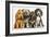 Young Dogs-Harro Maass-Framed Giclee Print