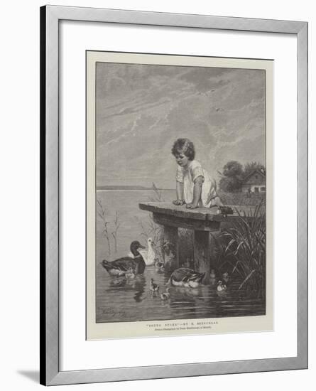 Young Ducks-Robert Julius Beyschlag-Framed Giclee Print