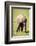 Young elephant, Masai Mara, Kenya, East Africa, Africa-Karen Deakin-Framed Photographic Print