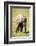 Young elephant, Masai Mara, Kenya, East Africa, Africa-Karen Deakin-Framed Photographic Print