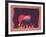 Young Elephant-Gerry Baptist-Framed Art Print