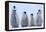 Young Emperor Penguins-DLILLC-Framed Premier Image Canvas