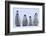 Young Emperor Penguins-DLILLC-Framed Photographic Print