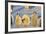 Young Emperor Penguins-DLILLC-Framed Photographic Print