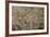 Young European Eel (Anguilla Anguilla) Elvers-Nick Upton-Framed Photographic Print