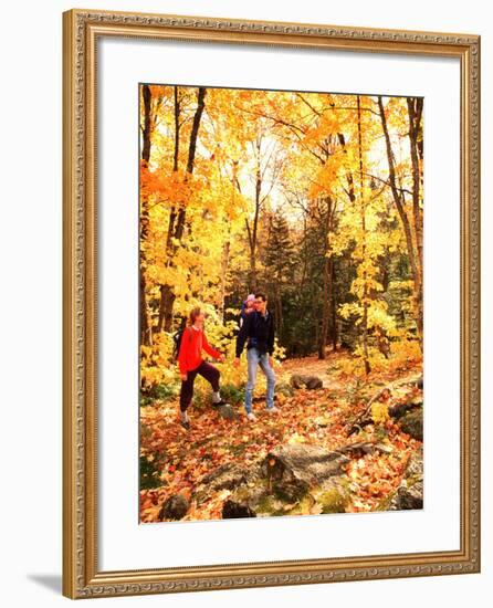 Young Family with Baby Hiking in Autumn-Bill Bachmann-Framed Photographic Print
