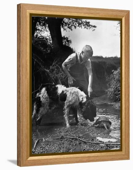 Young Farm Boy Watching His Dog Sniff a Large Turtle at the Pond-Myron Davis-Framed Premier Image Canvas