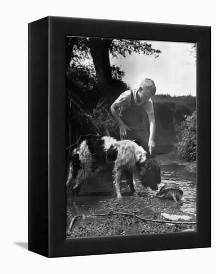 Young Farm Boy Watching His Dog Sniff a Large Turtle at the Pond-Myron Davis-Framed Premier Image Canvas