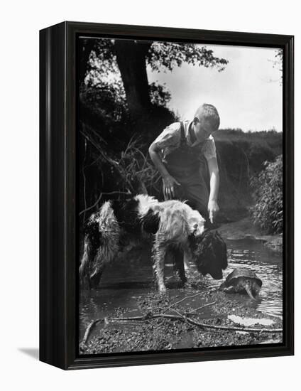 Young Farm Boy Watching His Dog Sniff a Large Turtle at the Pond-Myron Davis-Framed Premier Image Canvas