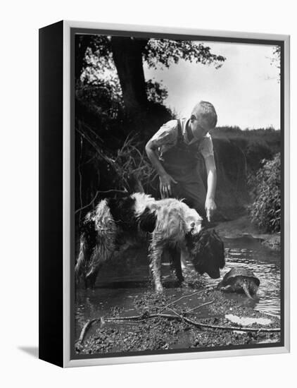 Young Farm Boy Watching His Dog Sniff a Large Turtle at the Pond-Myron Davis-Framed Premier Image Canvas