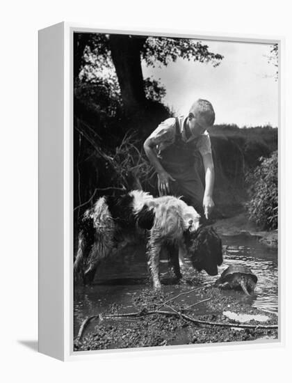 Young Farm Boy Watching His Dog Sniff a Large Turtle at the Pond-Myron Davis-Framed Premier Image Canvas