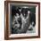 Young Farmer Milking a Row of Cows in a Barn, Kittens and Pan of Milk Nearby-Gordon Parks-Framed Photographic Print