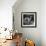 Young Farmer Milking a Row of Cows in a Barn, Kittens and Pan of Milk Nearby-Gordon Parks-Framed Photographic Print displayed on a wall