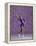 Young Female Figure Skater-null-Framed Premier Image Canvas