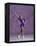 Young Female Figure Skater-null-Framed Premier Image Canvas