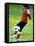 Young Female Soccer Player-null-Framed Premier Image Canvas