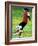 Young Female Soccer Player-null-Framed Photographic Print