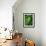 Young Fern Frond Uncurls-Susan Bishop-Framed Photographic Print displayed on a wall