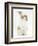 Young Fluffy Rabbit Standing Up-Mark Taylor-Framed Photographic Print