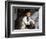 Young Frankenstein-null-Framed Photo