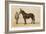 Young French Mule with Its Owner Monsieur Rimbault First Prize at the Niort Competition of 1865-null-Framed Art Print