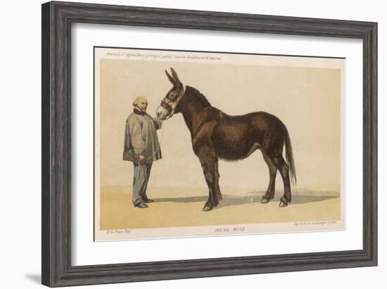 Young French Mule with Its Owner Monsieur Rimbault First Prize at the Niort Competition of 1865-null-Framed Art Print