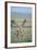 Young Giraffe Running in the Grass-DLILLC-Framed Photographic Print