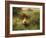 Young Girl in a Field-Ludwig Knaus-Framed Giclee Print