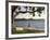 Young Girl on Rope Swing under Pohutukawa Tree, Oamaru Bay, Coromandel, North Island, New Zealand-David Wall-Framed Photographic Print