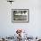 Young Girl on Rope Swing under Pohutukawa Tree, Oamaru Bay, Coromandel, North Island, New Zealand-David Wall-Framed Photographic Print displayed on a wall