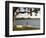 Young Girl on Rope Swing under Pohutukawa Tree, Oamaru Bay, Coromandel, North Island, New Zealand-David Wall-Framed Photographic Print