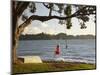 Young Girl on Rope Swing under Pohutukawa Tree, Oamaru Bay, Coromandel, North Island, New Zealand-David Wall-Mounted Photographic Print