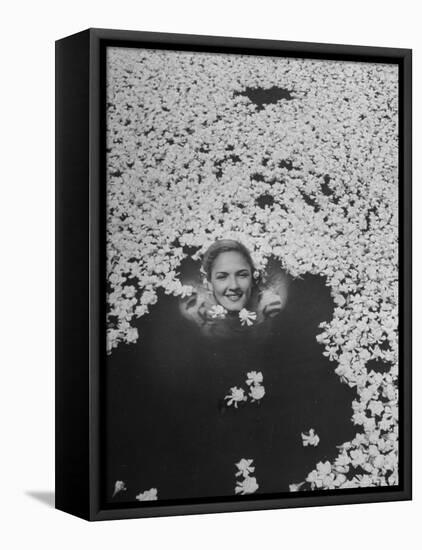 Young Girl Swimming in Pool Covered with Gardenia Blossoms-Eliot Elisofon-Framed Premier Image Canvas