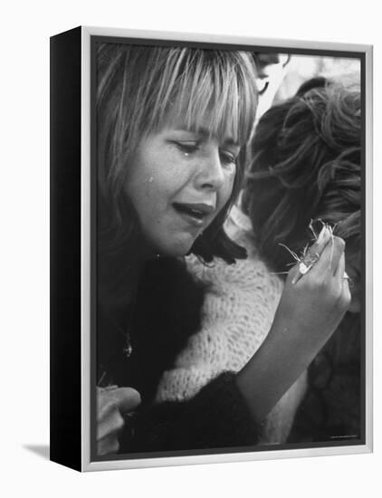 Young Girl Weeping, The Beatles' Fan Clutches Tuft of Grass on Which Ringo Had Walked On-Bill Ray-Framed Premier Image Canvas