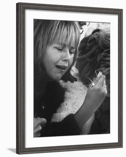 Young Girl Weeping, The Beatles' Fan Clutches Tuft of Grass on Which Ringo Had Walked On-Bill Ray-Framed Photographic Print