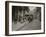 Young Girl Wood Pickers-Lewis Wickes Hine-Framed Photo