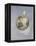 Young Girl-Jessie Willcox-Smith-Framed Premier Image Canvas