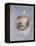 Young Girl-Jessie Willcox-Smith-Framed Premier Image Canvas