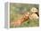 Young Girls on the River Bank-Pierre-Auguste Renoir-Framed Premier Image Canvas