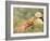 Young Girls on the River Bank-Pierre-Auguste Renoir-Framed Giclee Print