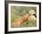 Young Girls on the River Bank-Pierre-Auguste Renoir-Framed Giclee Print