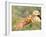 Young Girls on the River Bank-Pierre-Auguste Renoir-Framed Giclee Print